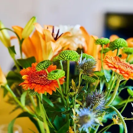 L'infini Choletais - Netflix Et Climatisation Lejlighed