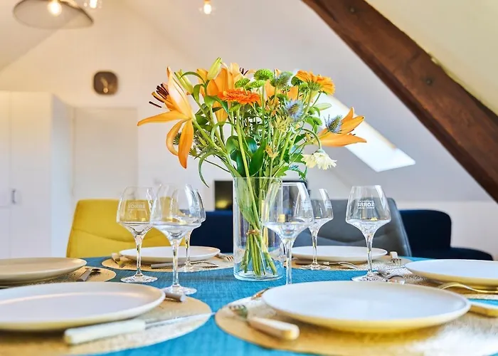 L'infini Choletais - Netflix Et Climatisation * 绍莱