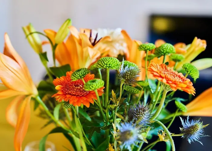 L'infini Choletais - Netflix Et Climatisation 公寓