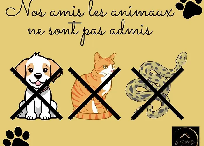 公寓 L'infini Choletais - Netflix Et Climatisation *